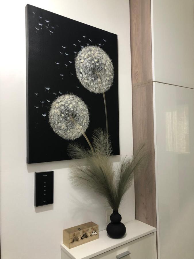 Miio Studio Năvodari Eksteriør bilde